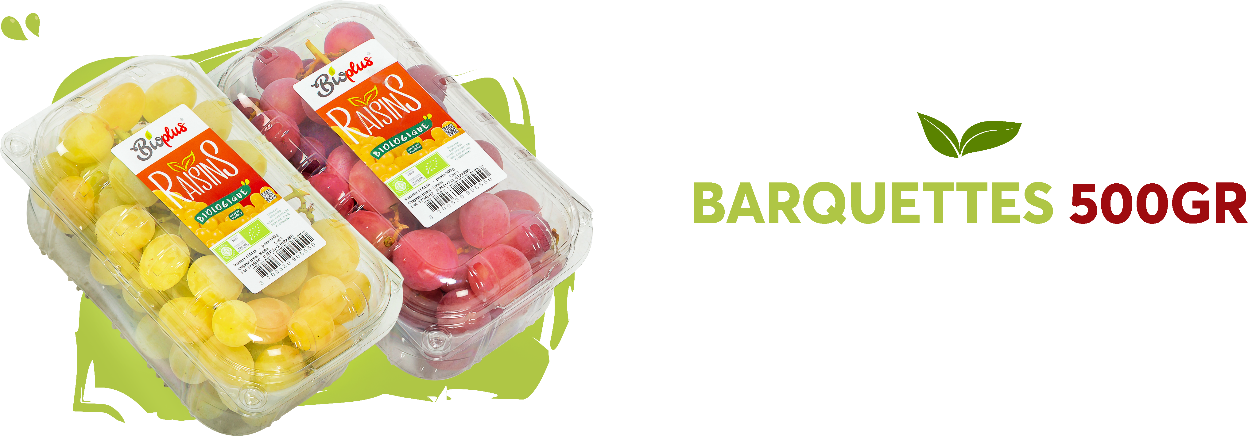 Barquettes 500gr