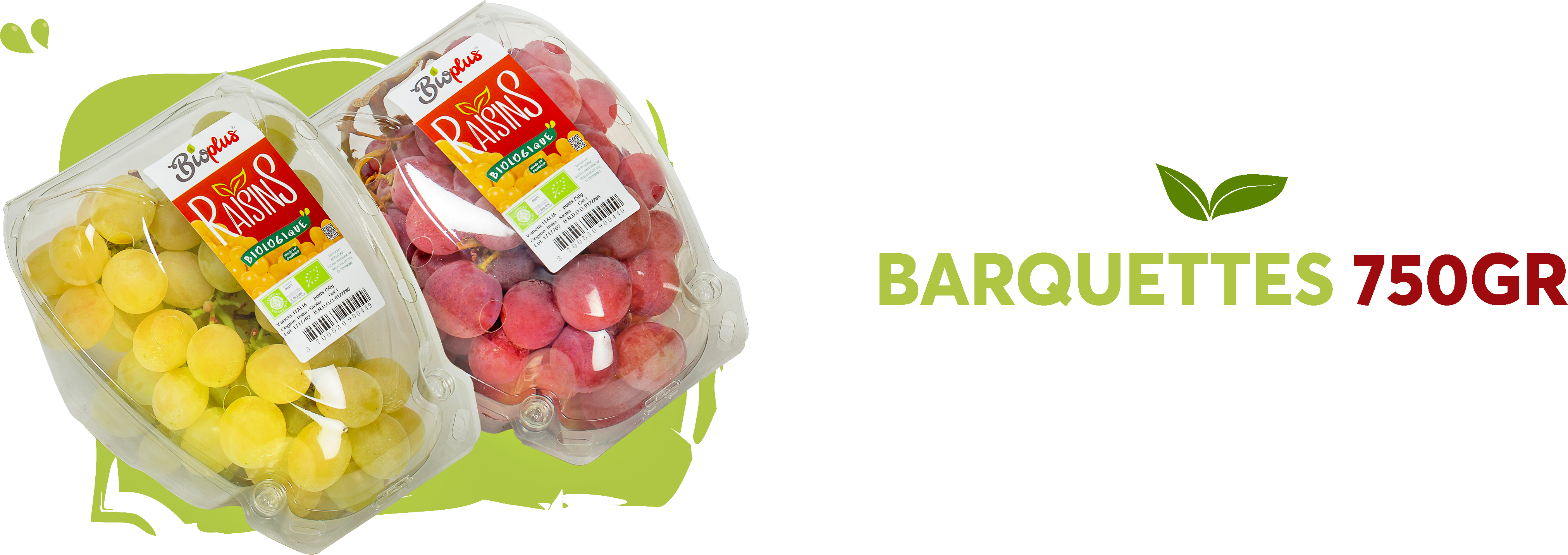 Barquettes 750gr