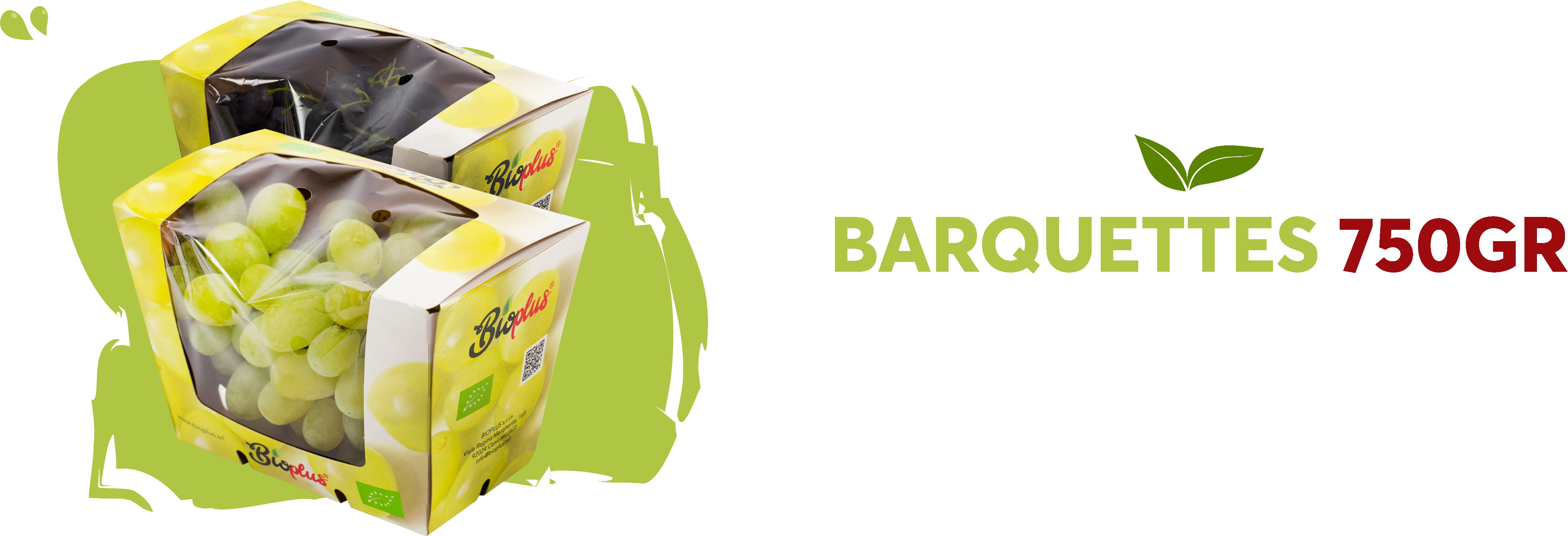 3 - BARQUETTES 750GR