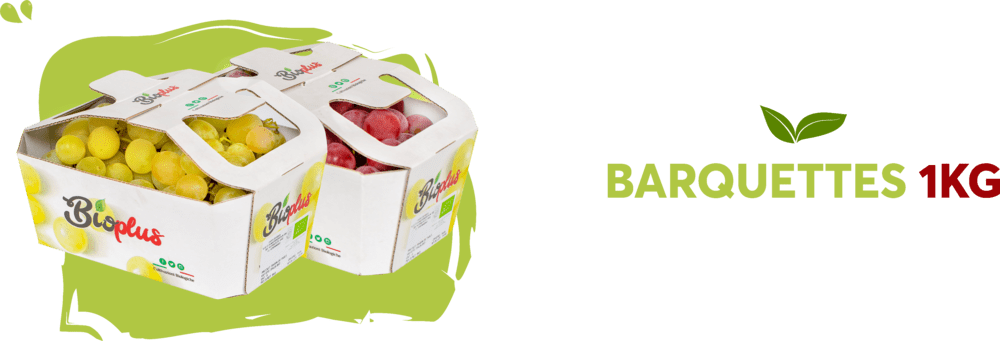 Barquettes 1kg