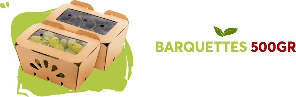 Barquettes 500gr