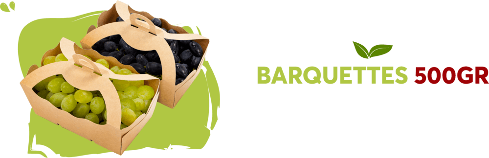 Barquettes 500gr