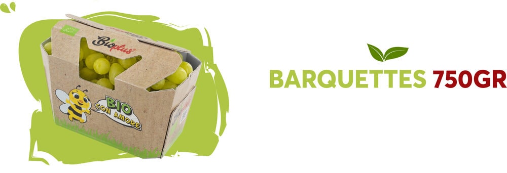 Barquettes 750gr