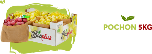 Bioplus: organic red seedless grapes producer