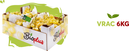 Bioplus: exporting organic table grapes from southern Italy